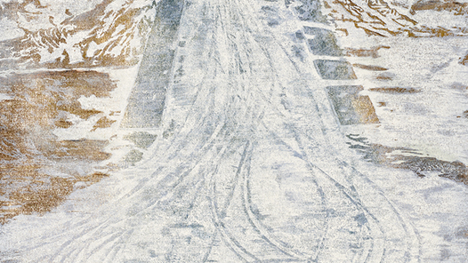 ����ѩ�顤�����Ρ���������