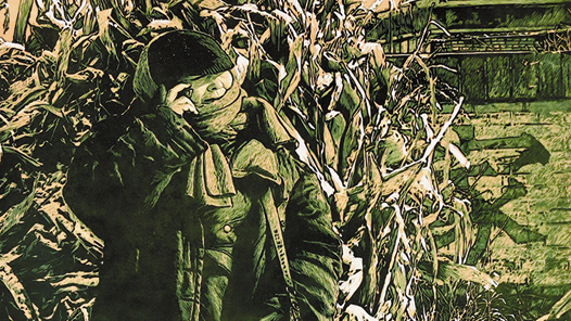 ����ѩ�顤�����Ρ�ǣ��