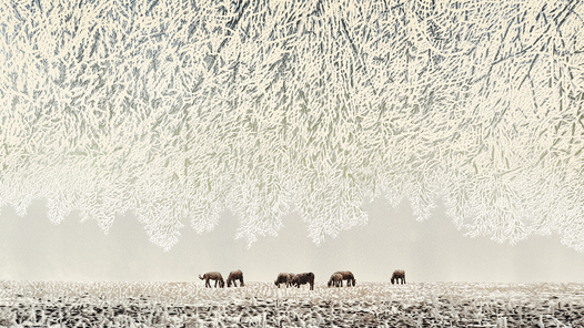 ����ѩ�顤�����Ρ�����