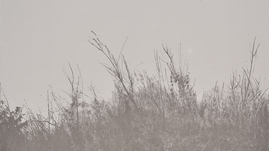 ����ѩ�顤�����Ρ����紵����