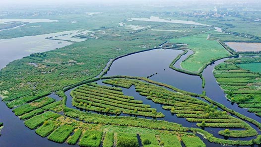 ܽ ʱΰӡٶȡ۰۰һ߲ɷü