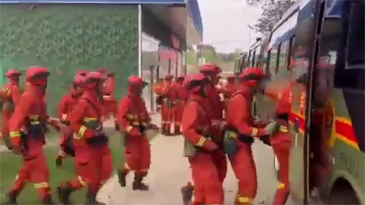 �������ѣ�ɭ������450�˸ϸ�׹���ֳ���Ԯ