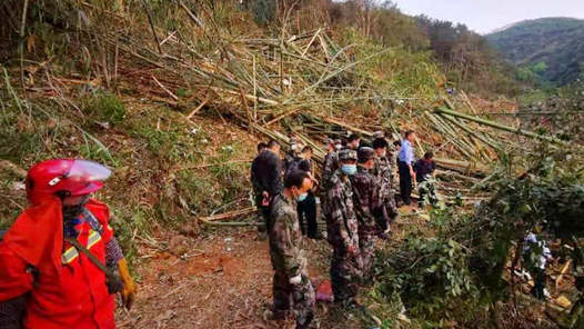 �������ѣ�������������ִ��ֳ�չ����Ԯ