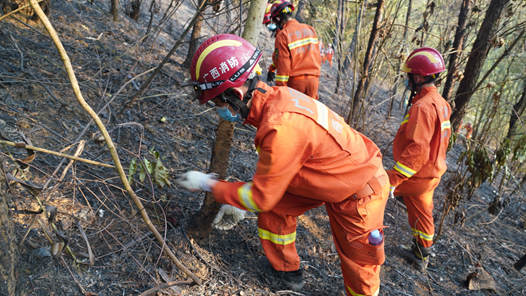 ������Ԯ�������ͻ�׹���¹��ѾȽ���ʱ