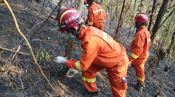 ����׹���ֳ���������֤����Ǯ������Ʒ �Ѿ����ڽ���