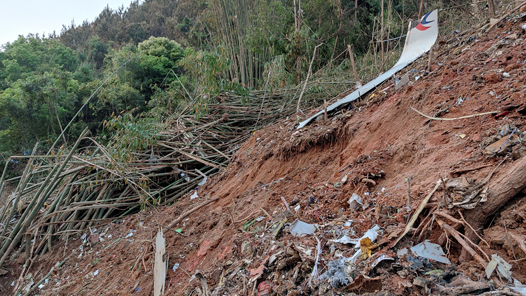 ֱ����������׹���¹ʾ�Ԯ