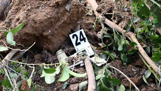 ����չܽ�������MU5735¼���ع� ��ϣ������һ�䡰�뽲����