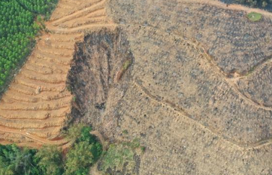 ����׹��24Сʱ��ͻȻ׹��ı���������ʴ���