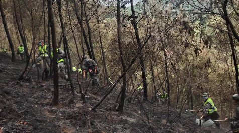 ��������ح�������ɻ����ǰ�����ʺ�Ҫ�� ����ϵ��ȫ���ÿͼ���