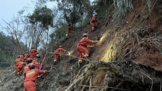 �»�ȫý����ȫ��������ϻ��