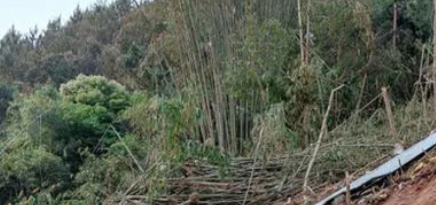 δ��12Сʱ׹���¹��ֳ���С�꣬������11-13��