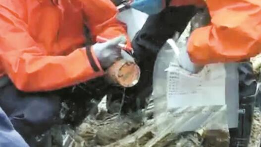 ��������ʽ��Ѱ����һ����ϻ�������