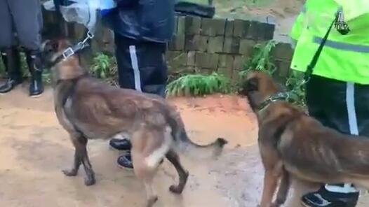 ׹���ֳ���Խ��Խ�� ������ԱЯ��20��ֻ�Ѿ�Ȯ��������������Χ