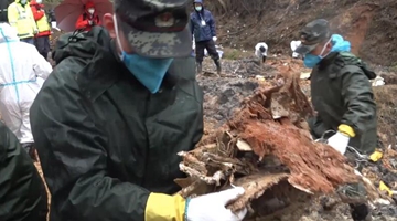 5Сʱ��1800�����Ƭ����Ѱ����������