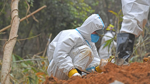 �йض���׹���¹ʵ�һЩ���ʣ�Ȩ����Ӧ������