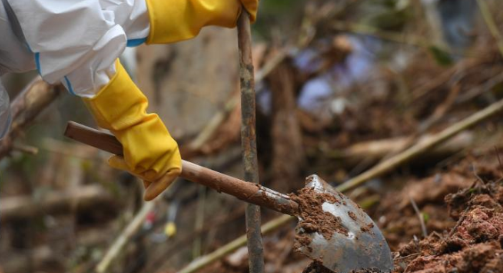 ��Ѱ��ȫ���Ը�