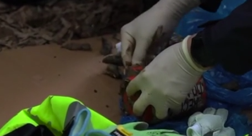 ������Ԯ��Ա���ܵڶ�����ϻ�ӷ��־���