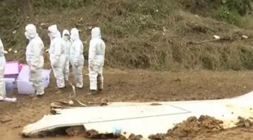 ��Ѱ���ɻ��к���Ƭ49117��