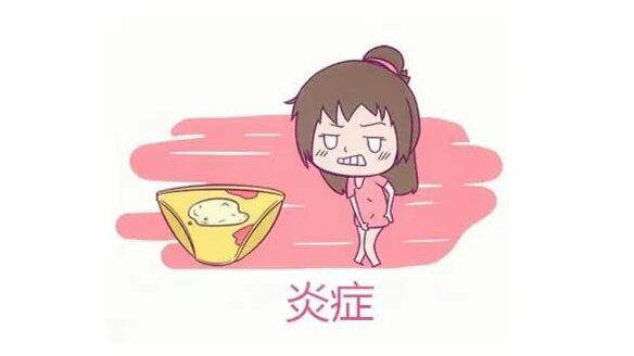 �й�ְ����չ�������ҽ��ʦ�������մ��ã�Ůְ��ר���������������Ƽ���Ԥ��������4��