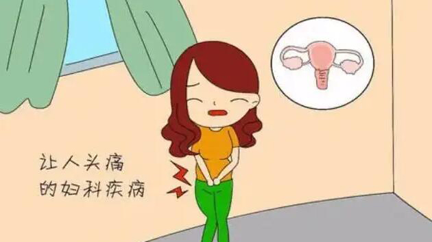 �й�ְ����չ�������ҽ��ʦ�������մ��ã�Ůְ��ר���������������Ƽ���Ԥ��������3��