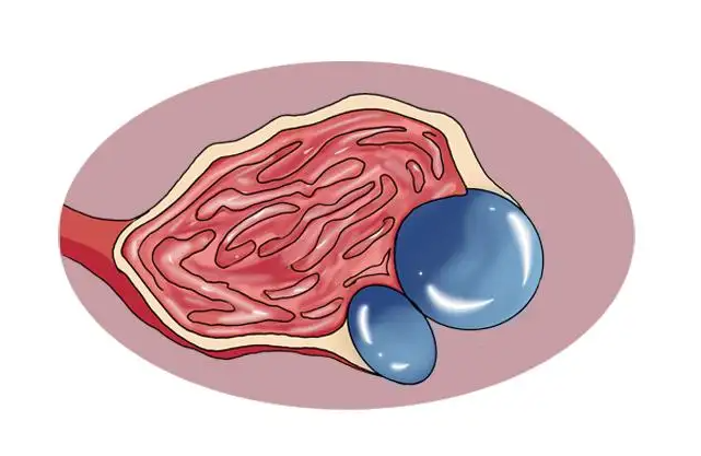 �й�ְ����չ�������ҽ��ʦ�������մ��ã�Ůְ��ר�������������߷��������׼�����3��