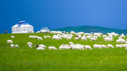 ܽ ʱΰحнݼ١ɹŲԭ