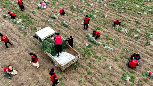 ������������أ��������ж����ٹ��У���Ԯ�Ϻ��������ӡ�