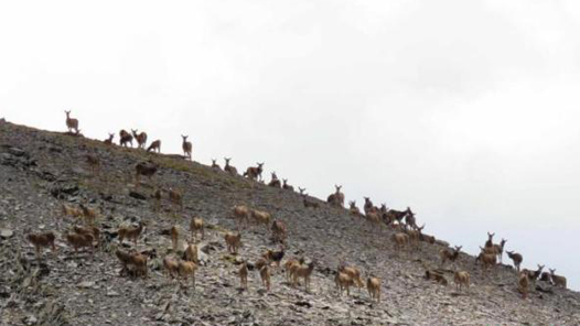 йʮحйҹ԰ɼǡֺš̱лˮ