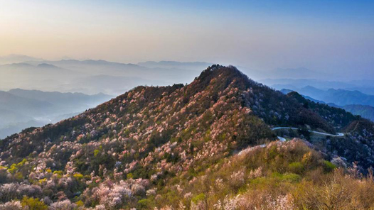 ܽ ʱòҵǿũȺڸմɽͼ