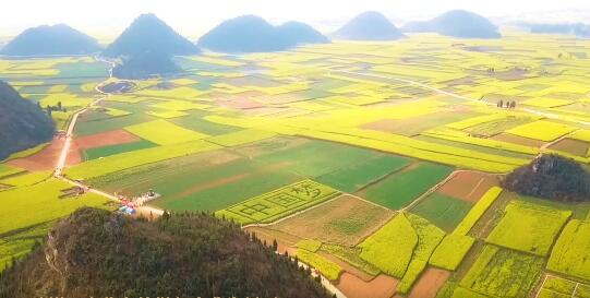 “五一”特辑 | MV：《中国梦·劳动美》