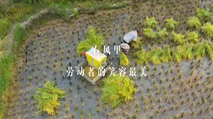 春风里，劳动者的笑容最美 五一劳动节，致敬每一个奋斗的你！