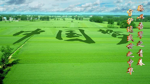 微视频｜不负韶华 强国有我