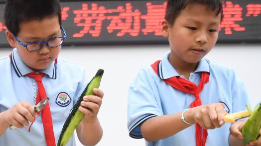 �㽭���ݣ��ƽ���Сѧ�Ͷ������γ̳�̬��