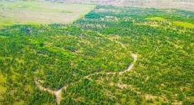 йʮꡤϵŷحʮ˴ҹ̬״ʵʷת