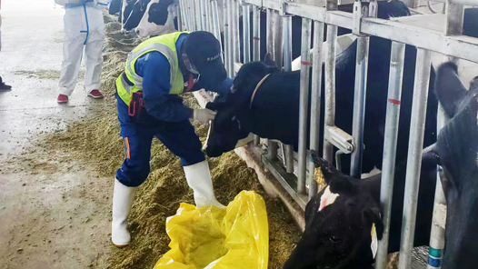 �����еڶ���߶��̲�ҵְ��ְҵ���ܾ�������