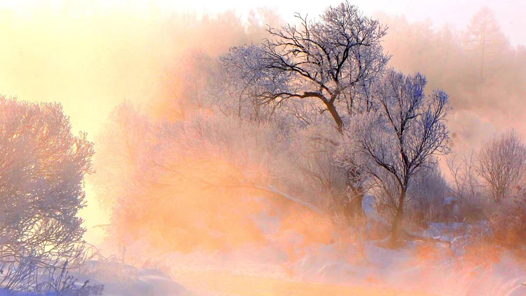 ܽ ʱΰحѩԭɽֺѩԭʱ