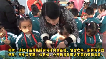 �Ͷ�����ʲô����ô�ϣ������