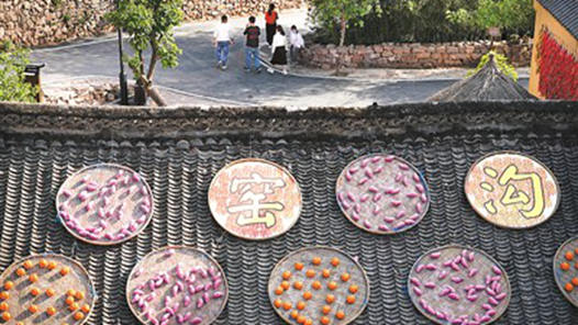 你老家县城，属于哪一类？