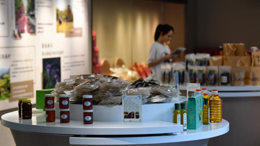 奋进新征程 建功新时代·老区新貌丨山水、产业、风情“扮靓”畲乡