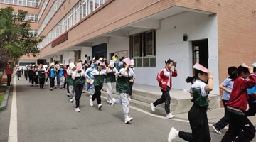 ����ƽ��������ϵͳ���з������̤Ӧ����ɢ����