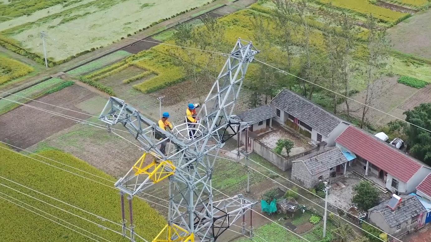 【2022·劳动创造幸福】共建地球生命共同体