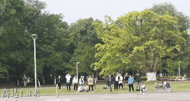 �ɹ����䣡�̴�ѧ��������������У�������