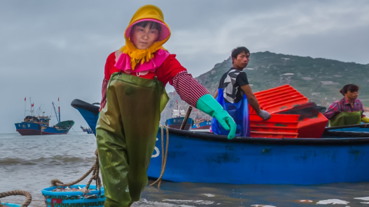 【2022·劳动创造幸福】晨捕归来