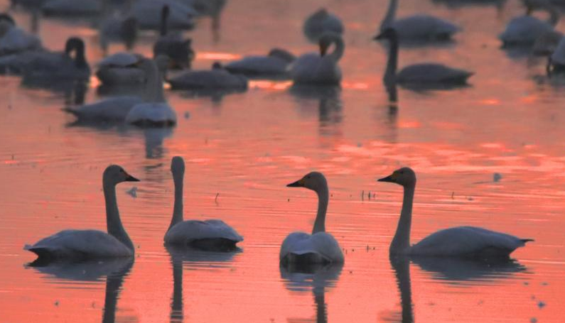 йʮ | ʮټʮģ̬йж