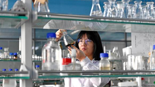 ܽ ʱΰحٽƼɹתΪչṩƼ֧