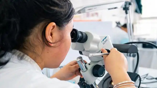 ��ְУС��רҵ�ġ���Ȧ������١�С��רҵ��ν�����ɳ����ķ��գ�