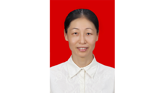 第十七届全国职工职业道德建设评选表彰候选标兵个人张琳事迹