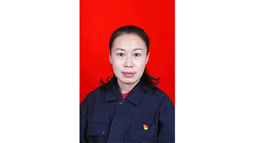 第十七届全国职工职业道德建设评选表彰候选标兵个人葛金环事迹