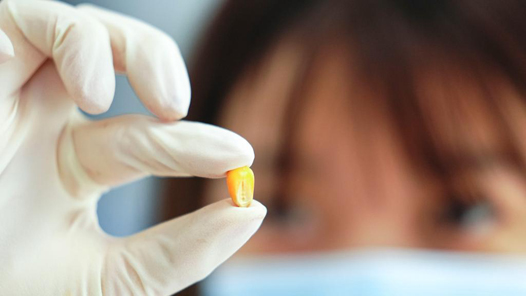 走进县城看发展丨吉林公主岭：打造“黄金玉米带”上的现代农业样本