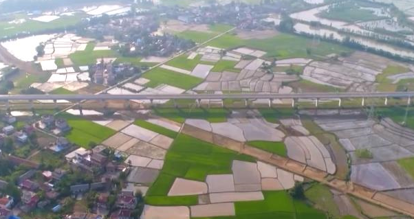 走进县城看发展丨安徽庐江：花园小城展新颜